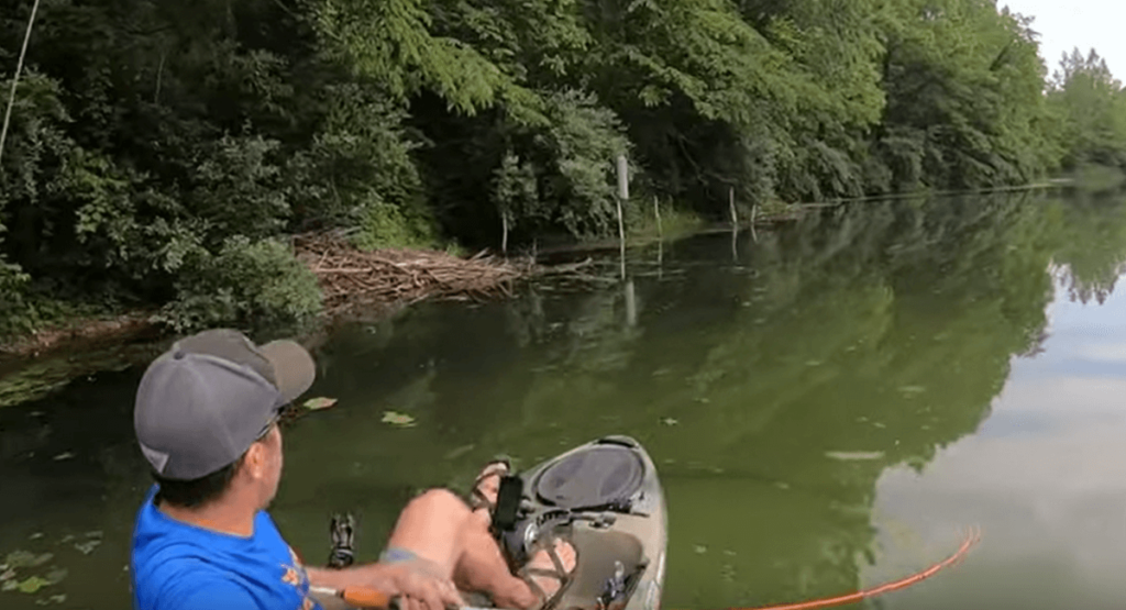 Basic Paddling Techniques