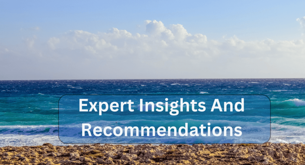 Expert Insights And Recommendations