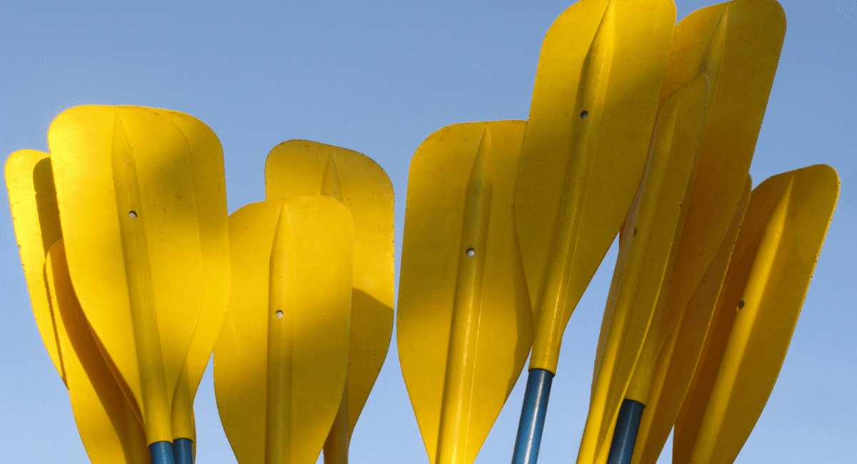 Tips For Maintaining Your Kayak Paddle