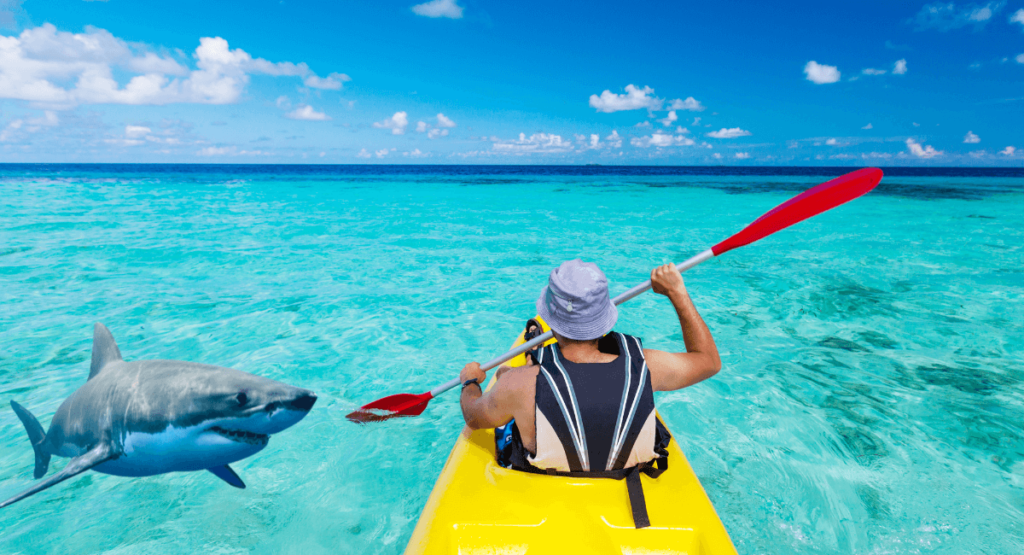 What to Do If You See a Shark in a Kayak: